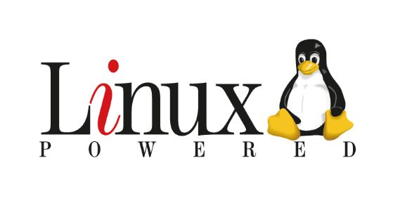 Linux服务器具有什么样的优势