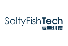 咸鱼科技SaltyFishTech:德国CN2 VPS测评 1核/1G/30G仅$41/年-VPS联盟