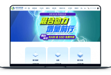 新天域互联 - 香港独服 100M网络带宽 首月一百元-VPS联盟