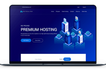 SoftSehllWeb - 圣何塞 1C1G20G2T 年付10美元-VPS联盟