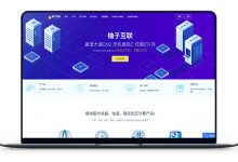 红心柚互连 - 洛杉矶市CN2 防御力100G 网络带宽10M 月付28元-VPS联盟