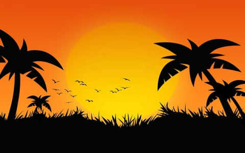 租用服务器应该注意什么意思-VPS联盟