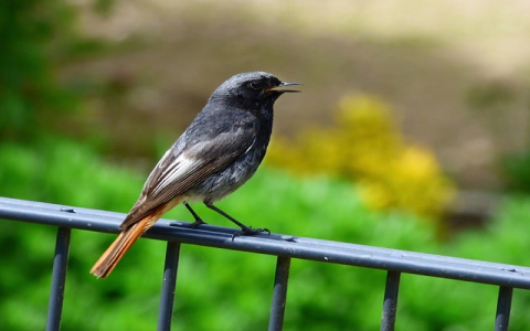 主机托管运作方式-VPS联盟