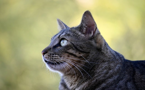 注册扣扣时没开通空间怎么办-VPS联盟