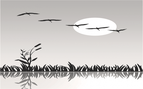 主机屋 https-VPS联盟