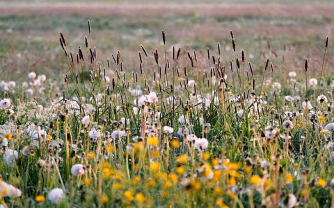 主机托管网站发布-VPS联盟