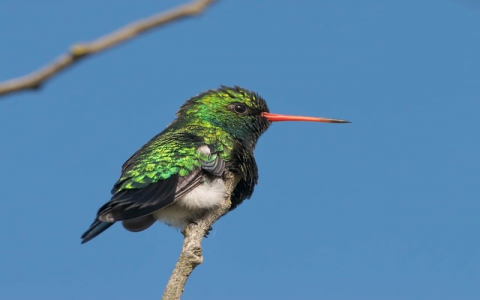 主机站网站-VPS联盟