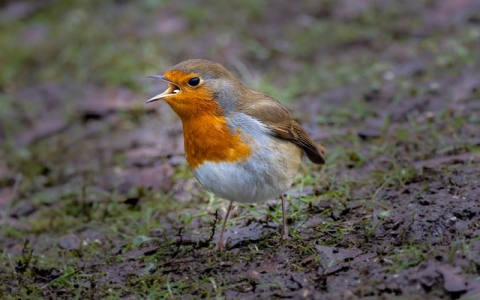 租服务器如何使用-VPS联盟