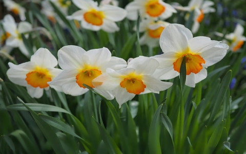 租服务器不如买服务器-VPS联盟