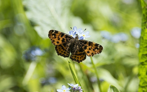 自建机房 费用-VPS联盟