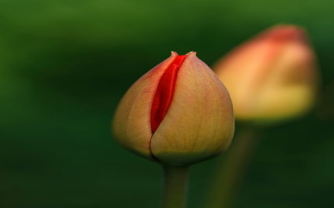 主机屋折扣-VPS联盟