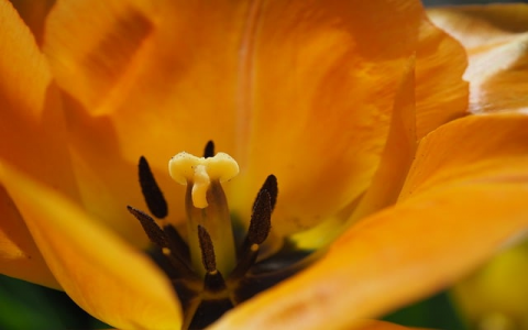 做个小网站 虚拟空间 买服务器-VPS联盟