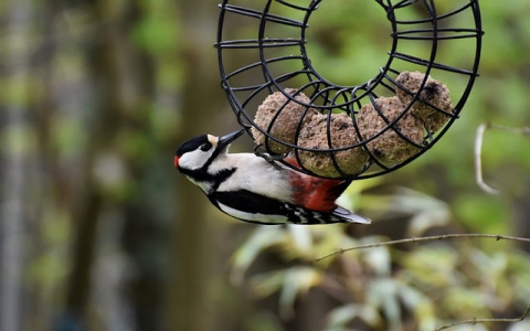 专线和主机托管-VPS联盟