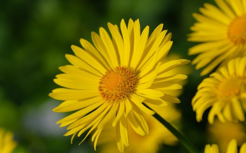 注册域名后虚拟主机-VPS联盟