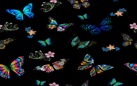 主机支持不支持子目录-VPS联盟