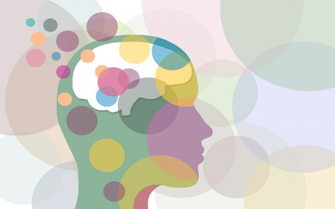 主机托管数据中心-VPS联盟