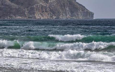 自己怎么租服务器吗-VPS联盟