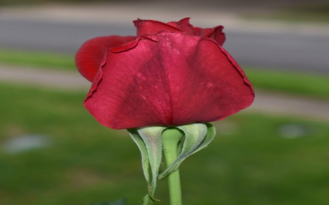 主机屋优惠-VPS联盟