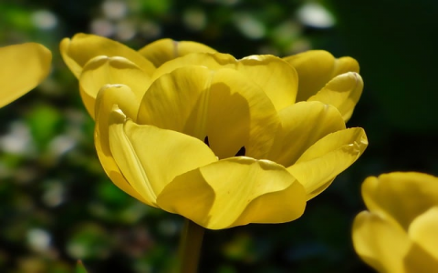 主机在主机-VPS联盟