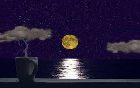 最详尽的vps-VPS联盟