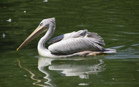 主机投诉-VPS联盟