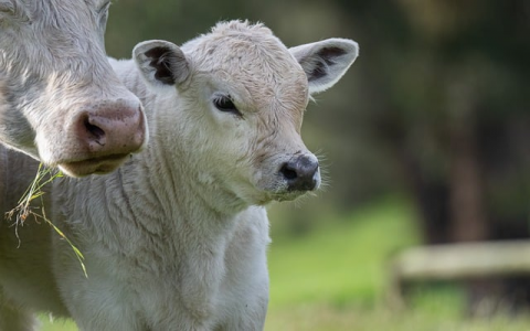 主机屋 收录-VPS联盟