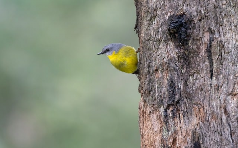 最新内存优惠-VPS联盟