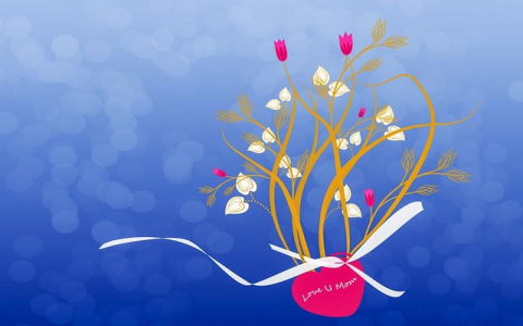 主机也叫服务器吗-VPS联盟