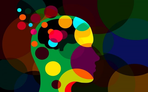 主机屋 数据库名称-VPS联盟