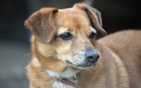 租台服务器多少钱-VPS联盟