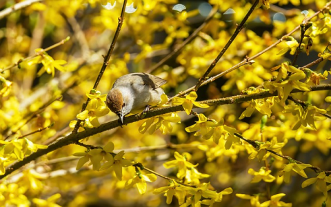 最便宜的服务器租用-VPS联盟