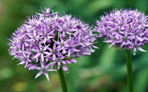 主机屋域名转出-VPS联盟