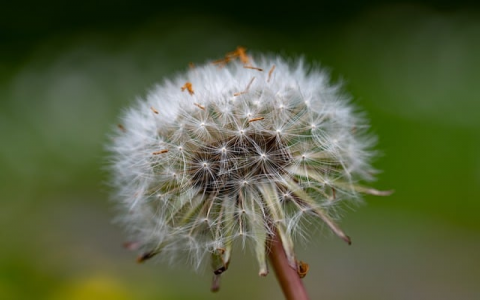 最稳定vps-VPS联盟