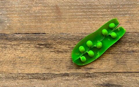 主机屋的数据库-VPS联盟