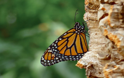 做好网站买了空间域名-VPS联盟