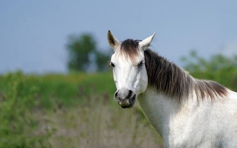 主机托管 杭州-VPS联盟
