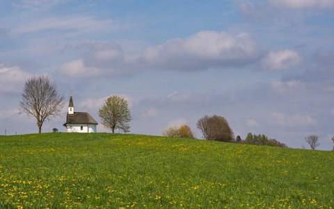 最新到期域名-VPS联盟