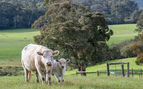 主机屋 客服-VPS联盟
