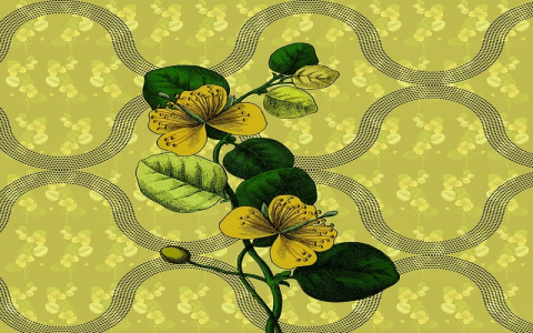 注册tk域名解析教程送空间-VPS联盟