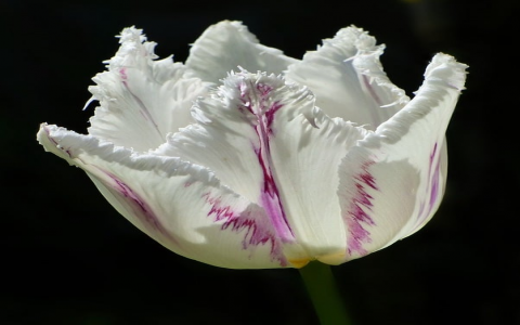 主机托管1u-VPS联盟