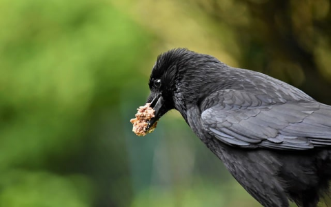 主机松免费云-VPS联盟