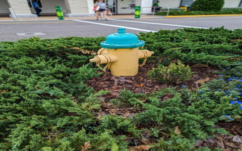 主机手算棒公式-VPS联盟