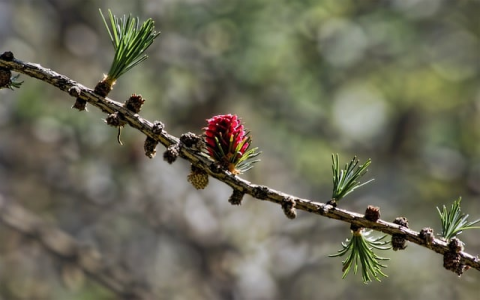 租用云服务器价格-VPS联盟