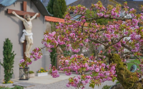 租电脑机房有搞吗-VPS联盟