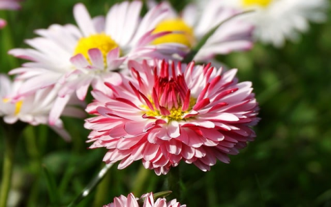 做服务器多少钱-VPS联盟