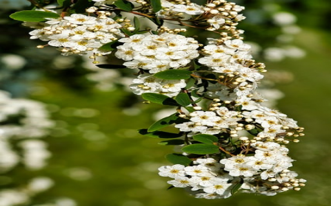 主机屋免备案空间-VPS联盟