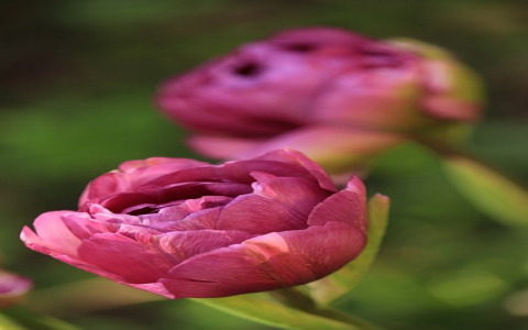 主域名服务器改-VPS联盟