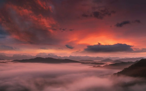 主机体检-VPS联盟