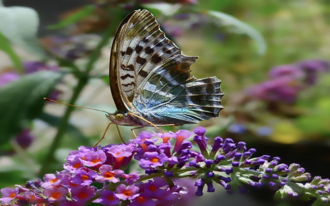 最好的抗投诉vps-VPS联盟