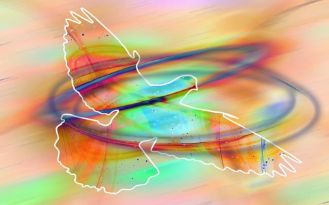 做外贸最好用的服务器-VPS联盟